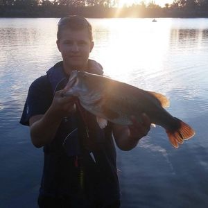 Meet your Posher, Brandon